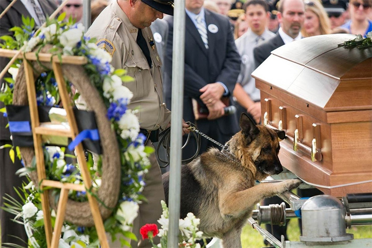 Service dog pays final respects