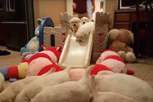 15 Inspiring Quotes About Family And Friends | LifeDaily