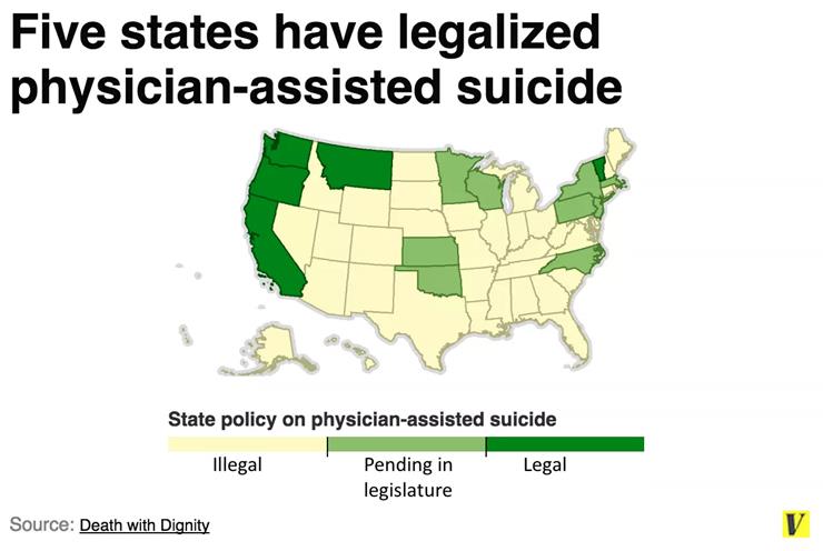 Physician assisted suicide thesis against