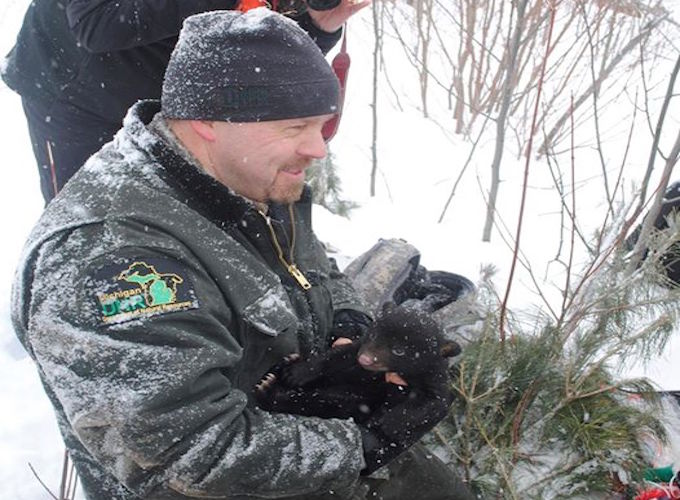 Photo by Facebook/Michigan Department of Natural Resources
