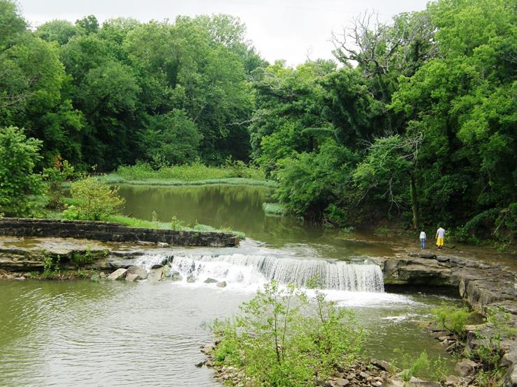 Couple Uncovers Incredible Treasure Hidden In Their Own Backyard LifeDaily