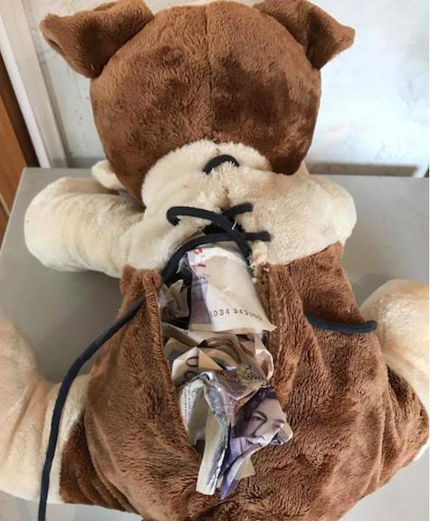 Credit: Green Acres Animal Rescue/Gavin Wright