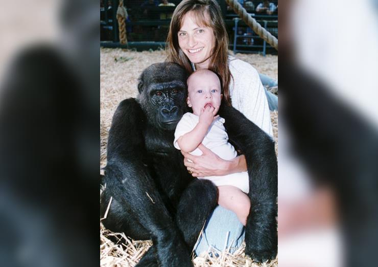 Girl Raised With Gorillas Travels Deep Into The Jungle 10 Years Later