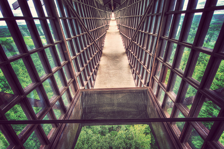Dejected Amateur Architect Decides To Build Wisconsin’s Most Incredibly Unique Structure LifeDaily