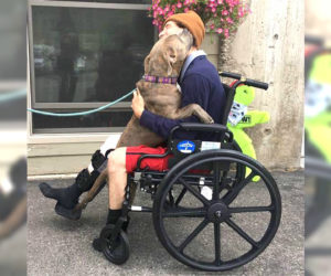 15 Rodney Dangerfield One-Liners About Marriage LifeDaily