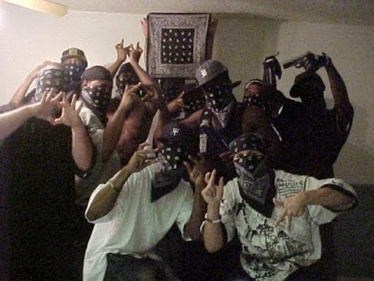 Hood niggas gang hostr