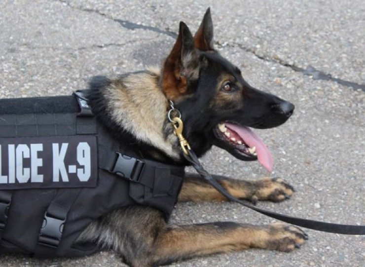 Missing Texas Child Starts Controversy After Parents Try To Solve The