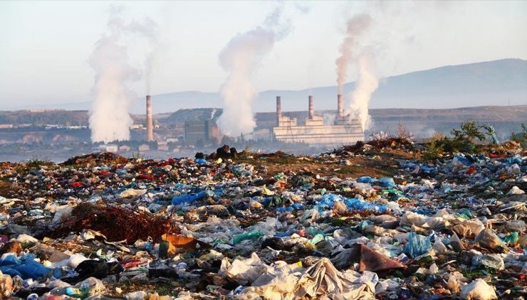 One Final Hope Remains to Save the NearlyExtinct Northern One Final Hope Remains to Save the NearlyExtinct Northern