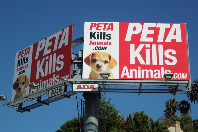 ExLawyer Activist Brings PETA’s Dark ‘Open’ Secret to Light Following Alarming Report LifeDaily