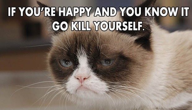 18 Truly Cynical “Be Happy” Quotes | LifeDaily