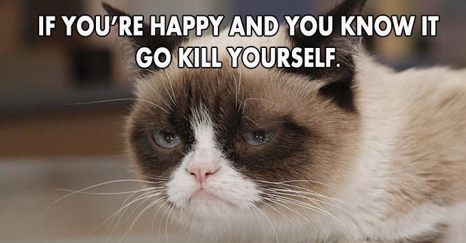 18 Truly Cynical “Be Happy” Quotes | LifeDaily