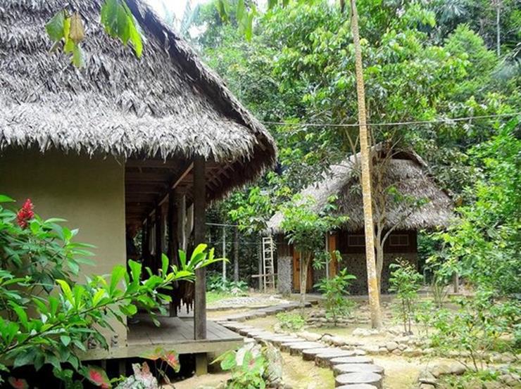 Man Stranded In The Amazon Jungle Had Lost All Hope, But Then He Saw Something Strange In The