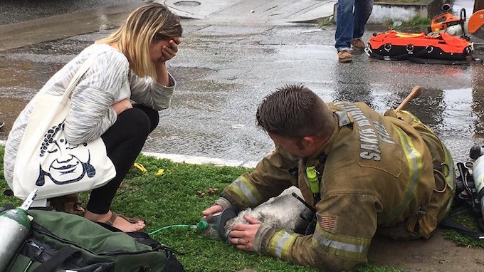 Seekor anjing yang nyaris mati sedang diselamatkan oleh petugas pemadam kebakaran. 
