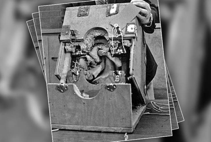 Held Captive For 7 Years, ‘Girl In The Box’ Breaks Her Silence On Abuse After Decades LifeDaily