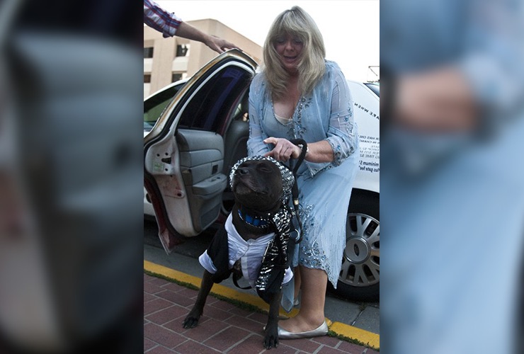 Former Beauty Queen Stalked Her Mormon Obsession For Years LifeDaily