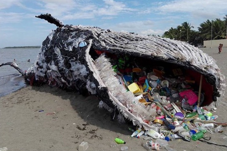 Experts Detect Oceanic Threat After Finding Underweight Sperm Whale ...