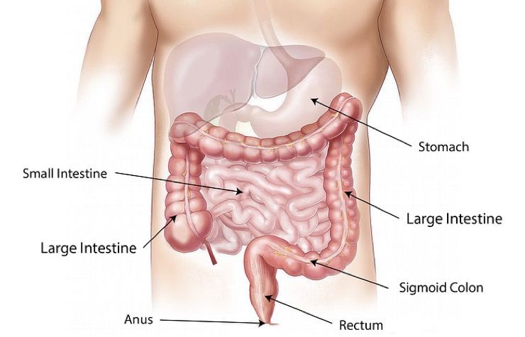 Common Types of Cancer Story