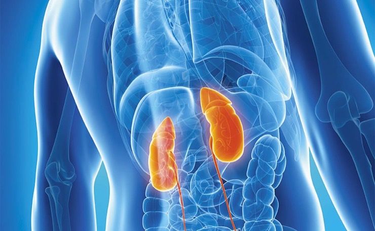 Common Types of Cancer Story