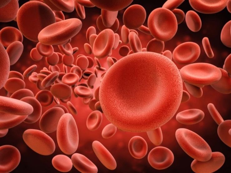 Common Types of Cancer Story