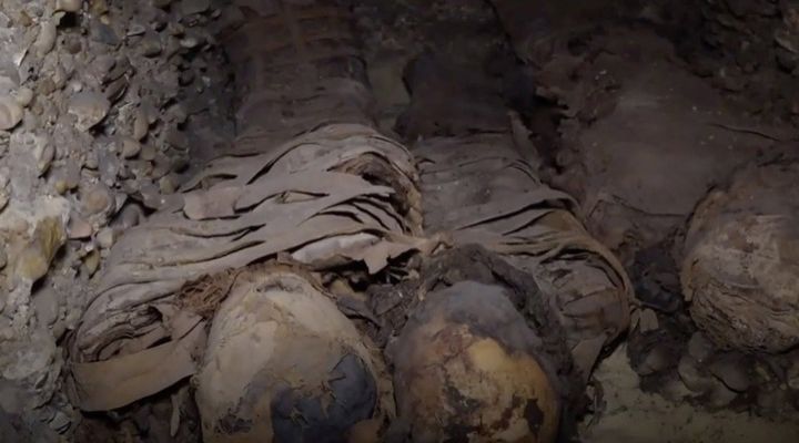 Mummies Discovered Story