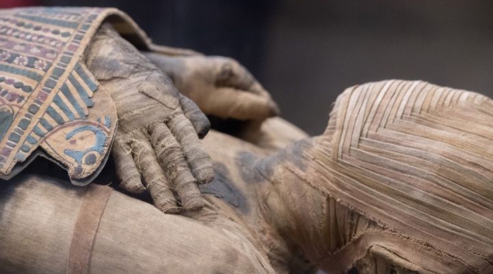 Mummies Discovered Story